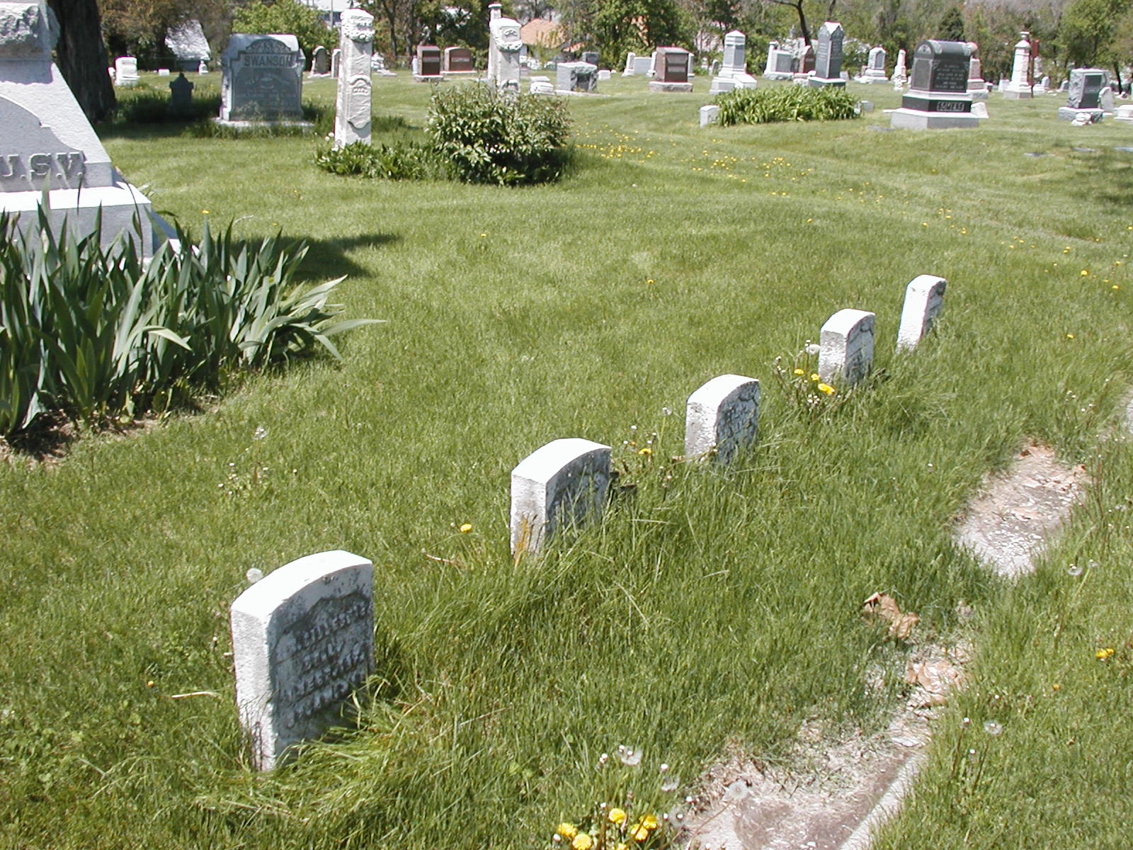Spanish War Graves